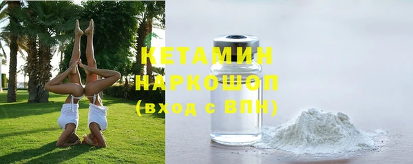 шишки Гусев