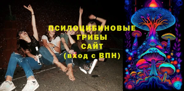спиды Инсар