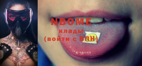 шишки Гусев
