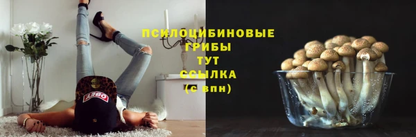 скорость Горнозаводск
