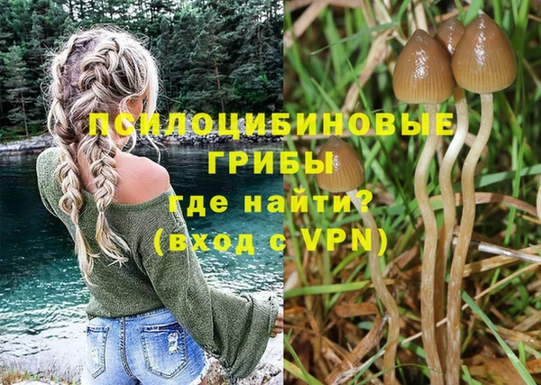 прущая мука Нестеровская