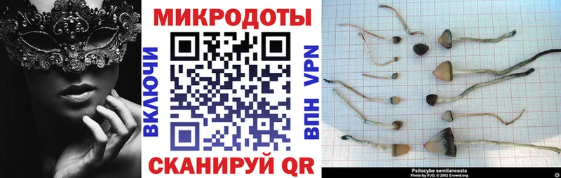 Галлюциногенные грибы Cubensis гидра ТОР Зеленодольск